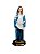 Imagem Nossa Senhora Gravida Resina Nobre 20cm - Imagem 1