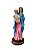 Imagem Nossa Senhora Da Saude Resina Nobre 15cm - Imagem 1
