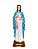 Imagem Nossa Senhora Gravida Gesso Premium 30cm - Imagem 1