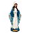 Imagem Nossa Senhora Das Graças Gesso Premium 30cm - Imagem 1