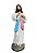 Imagem Jesus Misericordioso Gesso Premium 30cm - Imagem 1