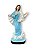 Imagem Nossa Senhora Rainha Da Paz Gesso Premium 20cm - Imagem 1