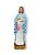 Imagem Nossa Senhora Gravida Gesso Premium 20cm - Imagem 1