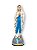 Imagem Nossa Senhora De Lourdes Gesso Premium 20cm - Imagem 1