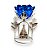 Castical Nossa Senhora Aparecida Flor Azul 13cm - Imagem 1