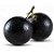 Jabuticaba - Imagem 1