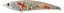 Isca Artificial Duo International Beach Walker Limber 115S - Imagem 3