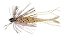 Isca Artificial Duo International Realis Small Rubber Jig 1.8g - Imagem 5