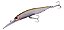 Isca Artificial Duo International Realis Jerkbait 100DR Barra Tuned - Imagem 3