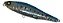 Isca Artificial Whiplash Factory Grindin Wire 13SW - Imagem 13