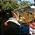 Tinta Para Isca Soft Monster 3X Color Bait 30ml - Imagem 3
