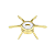 Estrela de Fricção Gomexus Star Drag STS6-1035 Shimano - Imagem 1