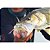 Anzol Monster 3x Offset Lastreado - Imagem 3