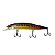 Isca Artificial Duo International Realis Jerkbait 160SP Amazon Series - Imagem 4