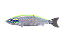 Isca Artificial BabyFace BB180-MSS - Imagem 3