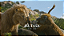 Painel Decorativo - Mufasa O filme - Imagem 1