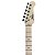 GUITARRA STRATOCASTER ASH HSS NATURAL PRO SHELTER - Imagem 6