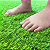 GRAMA 20 SOFT BS M2 - Imagem 5