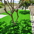GRAMA 20 SOFT BS M2 - Imagem 2
