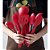Kit Conjunto Utensílios Profissional 6 Peças Cozinha Silicone Inox Pão Duro - Imagem 6