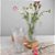 Kit 5 Vaso Decorativo 19cm em Vidro Jarrinho Arranjo Flores  Resistente Estilo Europeu - Imagem 2