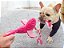 Brinquedo para cães Flamingo pelúcia - Imagem 2