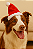 Gorro de Natal em pelúcia para cães - Imagem 3