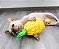 🍍 Pine Pop – Brinquedo Interativo para Farejar - Imagem 7