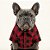 Camisa xadrez vermelha para cachorros - Grunge - Imagem 1