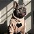 Moletom para cachorros "Love" Frappuccino - Imagem 3