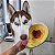 Comedouro lento interativo para pets AbacaPop - Imagem 7