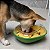 Comedouro lento interativo para pets AbacaPop - Imagem 2
