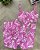 Conjunto Calça Empina e Cordinha Cintura Alta Vintage Rosa - Imagem 3