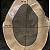Prótese Capilar Parcial Resistente Transpiravel Fine Mono 17,5 x 25 cm com corte Pronto pra Uso #1B Castanho Escuro - Imagem 4