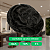 Prótese Capilar Base Silicone Micropele 20x25cm Cabelo Humano Cor Castanho Escuro Intenso 100% Densidade - Imagem 5