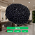 Prótese Capilar Afro Base Silicone Micropele 20x25cm Cabelo Humano - Imagem 15