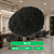 Prótese Capilar Afro Base Silicone Micropele 20x25cm Cabelo Humano - Imagem 7