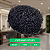 Prótese Capilar Afro Base Silicone Micropele 20x25cm Cabelo Humano - Imagem 16