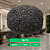 Prótese Capilar Afro Base Silicone Micropele 20x25cm Cabelo Humano - Imagem 11