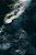 Kit Rainha do Mar - Imagem 3