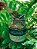 Kit Prosperidade - Imagem 4