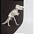 Quebra-cabeça dinossauro T- Rex fóssil 3D - Imagem 5
