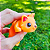 Bichinhos Flexíveis Mini Animais para brincar briquedo educativo floresta fazendinha dinos bichos do mar - Imagem 4