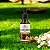 Cúrcuma com Colágeno Tipo 2 em Gotas 30ml Qualylife - Imagem 5