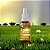 Zintrix Kids Zinco em Gotas 20ml Flora Nativa - Imagem 5