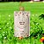 Óleo de Coco Extravirgem Polpa 100ml Santo Óleo - Imagem 6