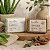 Kit Sabonetes Babosa 110g + Copaíba 110g Cheiro De Ervas - Imagem 3