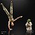 Star Wars Boneco Deluxe - Luke & Yoda - Hasbro E9642 - Imagem 6