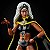 Bonecos Marvel Legends X Men Storm E Thunderbird - Hasbro - E9297 - Imagem 6