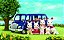 Sylvanian Families Mini Van Epoch 5274 - Imagem 10